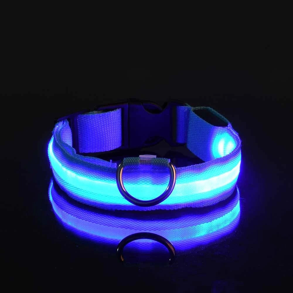 Rechargeable Glow Collar