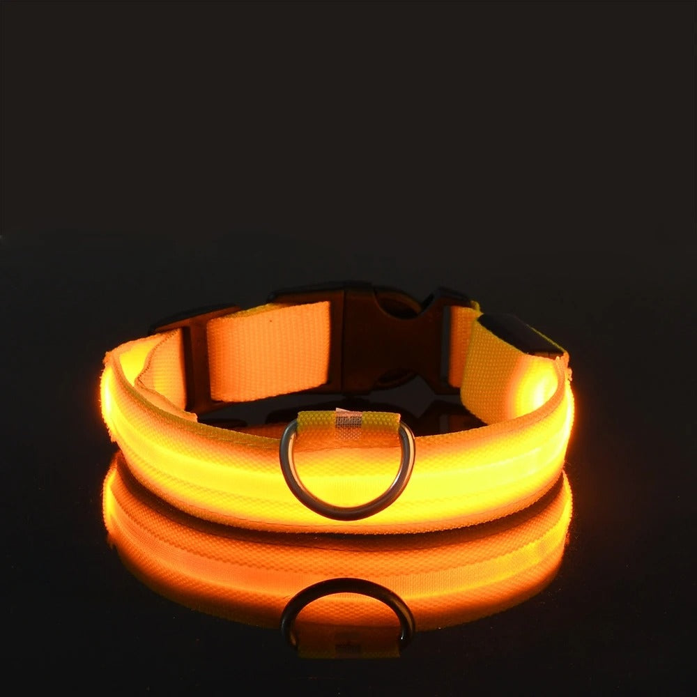 Rechargeable Glow Collar