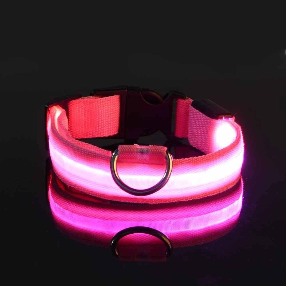 Rechargeable Glow Collar