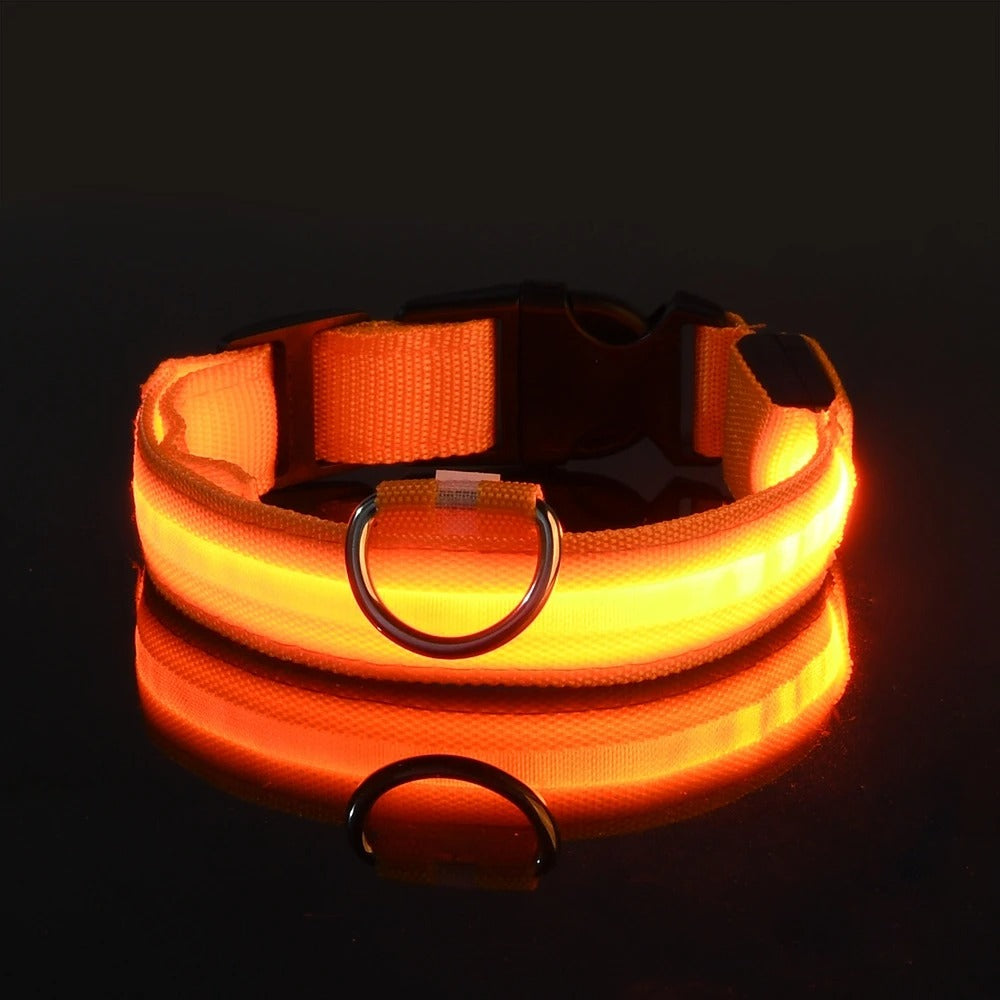 Rechargeable Glow Collar