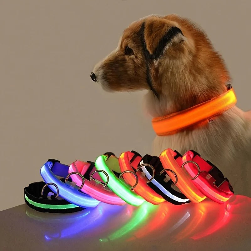 Rechargeable Glow Collar