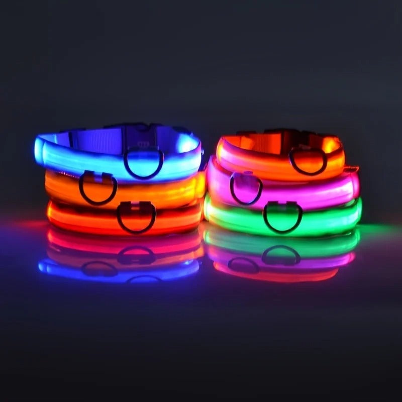 Rechargeable Glow Collar