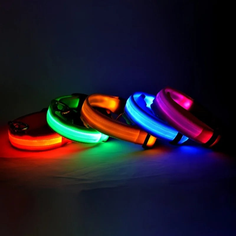 Rechargeable Glow Collar