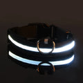 Rechargeable Glow Collar