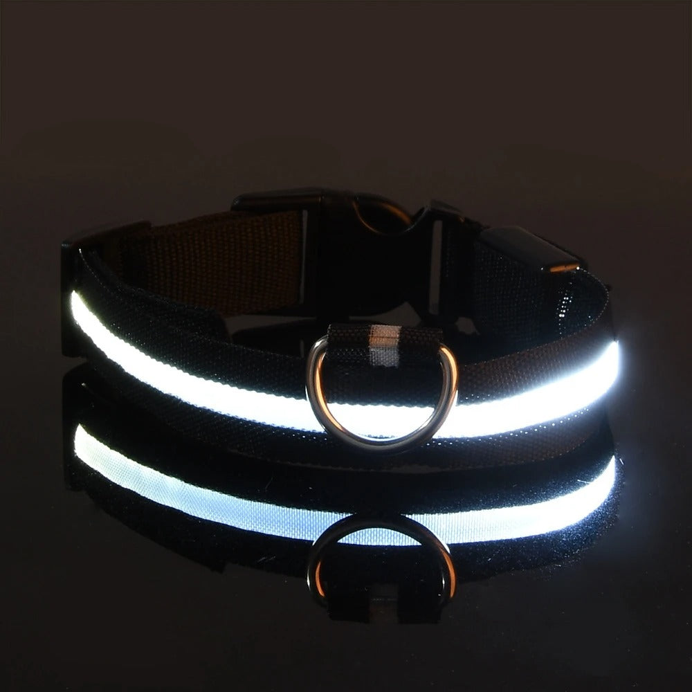 Rechargeable Glow Collar