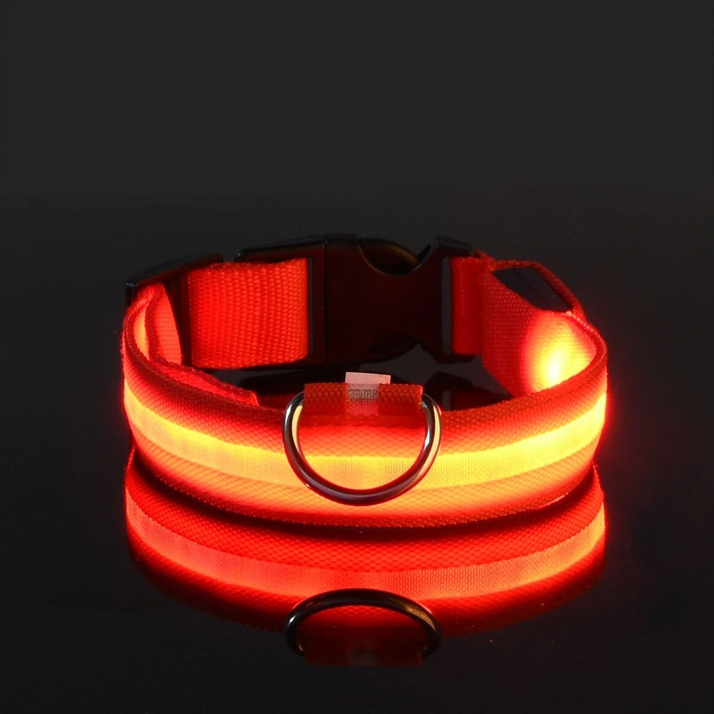 Rechargeable Glow Collar